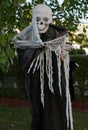 Haloween skeleton decoration