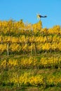 Haloze Hills, Vineyard With Klopotec In Autumn Royalty Free Stock Photo
