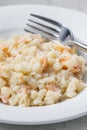 halusky- small potato dumplings- with salmon Royalty Free Stock Photo