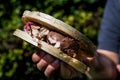 Halva ice cream sandwich / Kagit helva arasi dondurma. Royalty Free Stock Photo