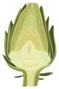 Halved artichoke Royalty Free Stock Photo