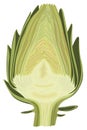 Halved artichoke