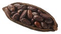 Halved cocoa pod with whole fermented cacao beans (Theobroma cacao fruit w seeds) isolated top view