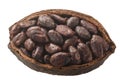 Halved cocoa pod with whole fermented cacao beans (Theobroma cacao fruit w seeds) isolated top view