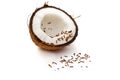 Halved coconut with chocolate Royalty Free Stock Photo