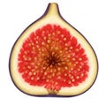 Halved Fig Detailed Close Up Isolated Against White Background Royalty Free Stock Photo