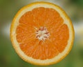 Halved fresh orange Royalty Free Stock Photo