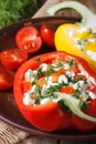 Halved fresh peppers filled with curd and dill close-up vertical Royalty Free Stock Photo