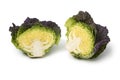 Halved fresh raw Pontoise cabbage isolated on white background Royalty Free Stock Photo