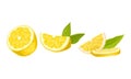 Halved Lemon Citrus Fruit with Green Leaf Vector Set Royalty Free Stock Photo
