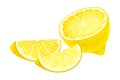 Halved Lemon Ellipsoidal Yellow Fruit with Sour Taste Vector Illustration Royalty Free Stock Photo