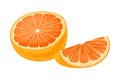 Halved Orange Showing Juicy Flesh Segments Vector Illustration