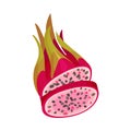 Halved Pitaya or Dragon Fruit Covered with Leathery Leafy Skin Vector Illustration