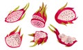 Halved Pitaya or Dragon Fruit Covered with Leathery Leafy Skin Vector Set