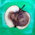 Halved rotten apple