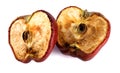 Halved rotten apple is isolated against a white background. Full clipping path