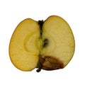 Halved, rotten apple isolated on white
