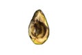 Halved rotten spoiled avocado fruit macro close up shot isolated on pure white