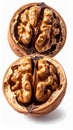 Halved Walnut with Intricate Textures Isolated on White Background Royalty Free Stock Photo