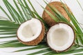 Halved and whole fresh coconuts with leaves Royalty Free Stock Photo