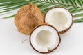 Halved and whole fresh coconuts with leaves Royalty Free Stock Photo