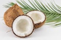 Halved and whole fresh coconuts with leaves Royalty Free Stock Photo