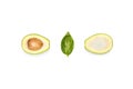 composition of halves of avocado and basil leaf
