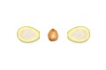 composition of halves of avocado and seed in row