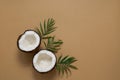 halves of coconut and green tropical leaves on a brown background copy space