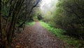 Halwill Junction Disused Railway line footpath Devon Royalty Free Stock Photo