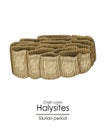 Halysites, a Silurian period chain coral Royalty Free Stock Photo