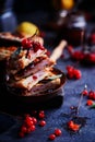 Ham cheddar cranberry melt sandwich Royalty Free Stock Photo