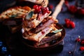 Ham cheddar cranberry melt sandwich Royalty Free Stock Photo