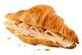 Cheese croissant filled with edam and brie slices isolated on white. Crumbs