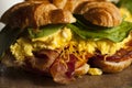 Ham and Cheese Egg Breakfast Sandwich Royalty Free Stock Photo