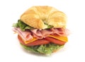 Ham and Cheese Sandwhich with Lettuce Cheese and Tomatoes