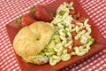 Ham and Cheese Sandwich with Macaroni Salad Royalty Free Stock Photo