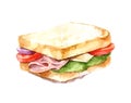 Ham, cheese and vegetable sandwich illustration. Watercolor. Isolate.