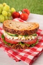 Ham and egg picnic sandwich on summer outdoor table Royalty Free Stock Photo