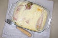 Ham endive dish with bÃÂ©chamel Royalty Free Stock Photo