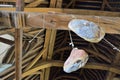 Ham hanging to dry in the meat hall, the ceiling is medieval. Royalty Free Stock Photo