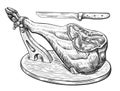 Ham leg on wooden stand. Spanish jamon hand drawn sketch. Meat farm pork engraving illustration