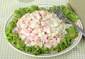 Ham Salad Royalty Free Stock Photo