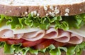 Ham sandwich Royalty Free Stock Photo