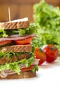 Ham sandwich Royalty Free Stock Photo