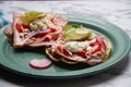 Ham tostadas with cheese and avocado. Mexican food Royalty Free Stock Photo