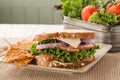 Ham Turkey Swiss Cheese Sandwich With Chips And Vegetables Royalty Free Stock Photo