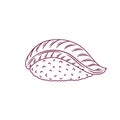 Hamachi sushi outline. Japanese traditional food icon. Isolated hand drawn seafood vector illustration.