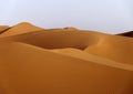 Hamada du Draa, Morocco desert Royalty Free Stock Photo