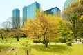 Hamarikyu Gardens and modern skyscrapers of Shiodome Area in Tokyo Royalty Free Stock Photo